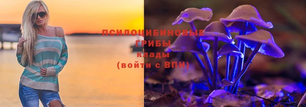 винт Елабуга