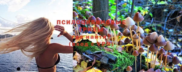 винт Елабуга