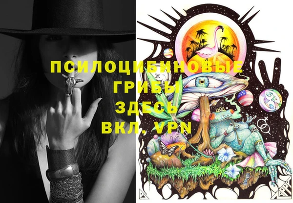 винт Елабуга