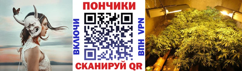 Конопля AK-47  магазин продажи   Себеж 